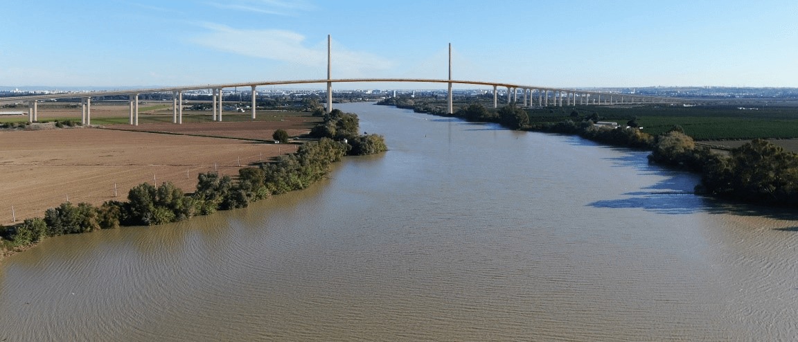 Foto. Ministerio de Fomento. Proyecto puente S40 Sevilla